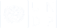 UNDP