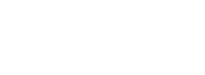 UNDDR_LOGO_reverse